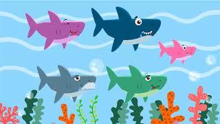 Baby Shark - เวอร์ชั่นสามช่า | kids song | เพลงเด็ก น้องนะโม