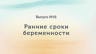 Беременность на ранних сроках