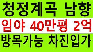 청정계곡숲 40만평 대형임야 방목가축사육가 탄소권1억6452만원 차진입가 전원생활 숲경영자연인산약초산양삼약용재배 숲가치906억 산지전용허가완화지역 땅과함께(새희망을)경매임야공매임야