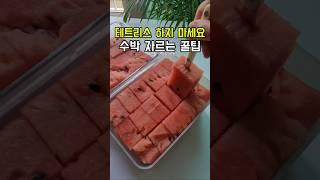 이제 힘들게 테트리스하지 마세요~깔끔하게 수박 자르는 팁 저장각!#수박자르는법 #수박썰기 #숏츠