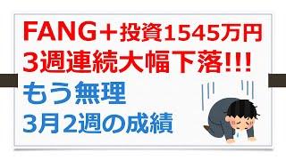 FANG+投資1545万円、3週連続大幅下落！　もう無理、3月2週の成績、株式投資成績報告、2025年3月7日【有村ポウの資産運用】250310