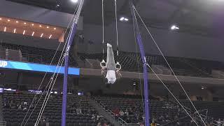 Fred Richard - Still Rings - 2022 Winter Cup - Senior Men Day 1