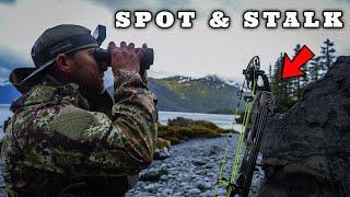 Alaska Coastal Black Bear Hunt