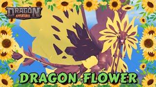 Sunfloris SHOWCASE - Dragon Season 42 | Sunfloris Dragon Adventures