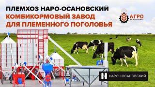 Комбикормовый завод на 6 тонн в час для племенного хозяйства. Обзор и реализация проекта.