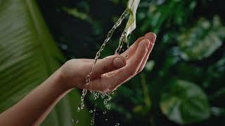 4K Hand | Water | Pouring | Flowing | Free Stock Video Footage [ No Copyright ]