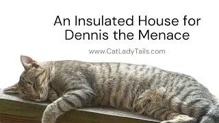 Setting Up an Insulated Cat House for Dennis the Menace | @catladytails