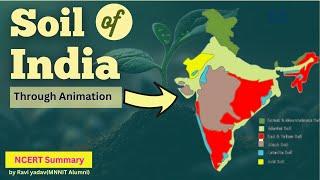 Complete Soils of India | Through 3D Animation | UPSC Geography | by Ravi Yadav (MNNIT Alumni)