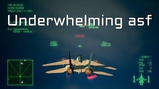 Still don't understand why this plane costs so much | Ace Combat 7 Multiplayer ft. F-14A TGM w/ HPAA