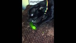 OTEP: She likes it hot!