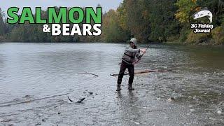 Fishing for Coho finding lots of Salmon & BEARS