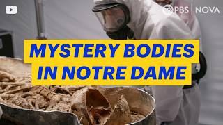 Mystery Bodies Buried Under Notre Dame | NOVA | PBS