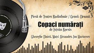 Copaci numărați - István Kocsis | Teatru pe Vinil | (teatru radiofonic: drama)