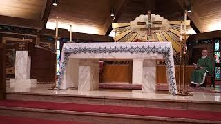 Mass on November 14th - Our Lady of Peace Catholic Church