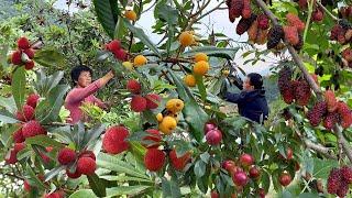 果蔬饮合集：各种水果大丰收，做8种夏日饮料，鲜甜清爽冰凉解暑｜fruit and vegetable drinks【闽湖阿嬤Fujian Grandma】