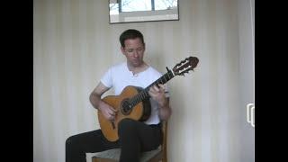 Derk van der Veen: The Eagle Flies Alone - for Guitar Solo