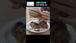 삭센다 위고비 요요피하는 법
