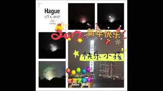 VID 20240603194625860 Hague firework photos by Hong Kong Island 1/1/2017