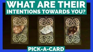 What Are Their INTENTIONS Towards You & The Long-Term POTENTIAL Of This Connection?️Pick-A-Card️