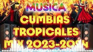 CUMBIAS TROPICALES MIX 2024CUMBIAS PARA BAILARLOS KARKIKS,ALEX BAR,MATEO Y SUS TECALDOS,EL NEGRO