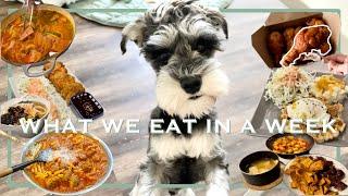 What we eat in a week | Pork Cutlet | Udon | Meatball Pasta | Chicken Waffle | Korean Food | EP0054