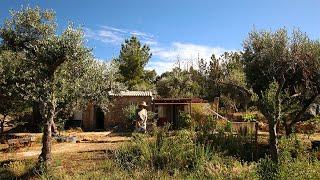 Day to Day Life on our Homestead - Off Grid in Rural Portugal