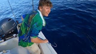 Huge Red Grouper and Red Snapper in the Gulf of Mexico