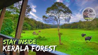 Forest stay in Kerala | Edapalayam Watch Tower in Periyar Tiger Reserve | English