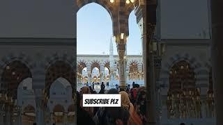 Riyazul jannah Alhamdulillah #short#shortvideo#youtubeshort#treding#islamicshort