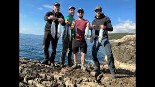 Shore Jigging in Croatia - Little tunny - Fishing with friends