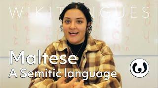 The Maltese language, casually spoken | Elena speaking Maltese | Wikitongues