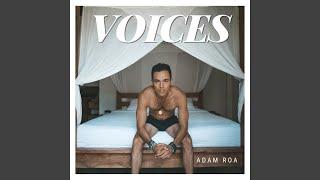 Voices (feat. Brendan Martin)