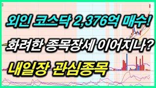 내일장 관심종목 주도주 급등주 포착 핵심정리