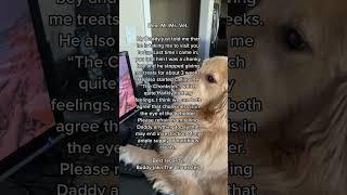 Buddy writes and URGENT email‼️#funnydog #funnydogvideos #dogfunny #funny #funnyvideos #dog #doglife