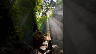 Most Beautiful Waterfall on Earth  | Gitgit Waterfall | #travel #adventure #nature #explore