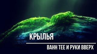 РУКИ ВВЕРХ | КРЫЛЬЯ