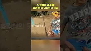 도망치며 새끼를 낳은 어미 고양이의 눈물 #길고양이구조 #아기고양이