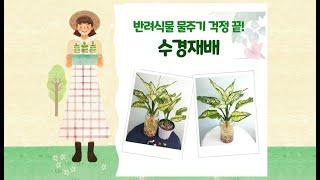 반려식물 물주기 걱정 끝! 수경재배 ㅣ서울의 공원