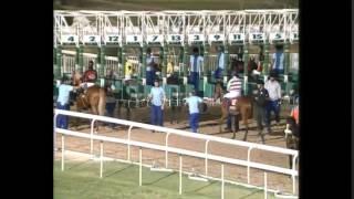 Al Shahania & Al Naama Cups Day