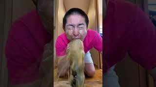 Sagawa1gou funny video  | SAGAWA Best TikTok 2024 #shorts