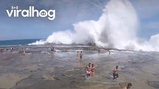 Freak Wave Hits Figure 8 Pools || ViralHog