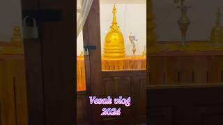 Vesak vlog ️️ #trending #vesaksrilanka #youtubeshorts #srilanka