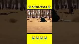 Ghazi Abbas | Karbala #shorts #maulaabbas #ghaziabbas #karbala