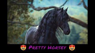 Impressions of Horse Breeds