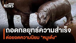 ถอดกลยุทธ์ความสำเร็จต่อยอดความนิยม "หมูเด้ง" | Thai PBS News