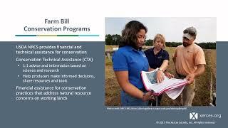 Building Pollinator Habitat through the USDA-NRCS Program