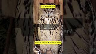 "Breaking the 'Owl'one: A Feathered Friendship!" #shorts #reels #tinylaughs #pocketlaughs #jokes