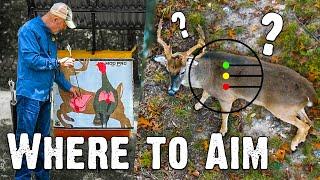 Where to Aim: Best Shot Placement on Deer (834)