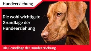 Hundeerziehung ► Die [wohl] wichtigste Grundlage der Hundeerziehung