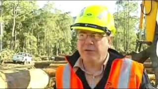 Forestry workers improving workplace safety